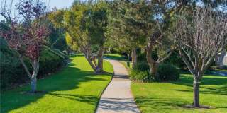 37 Cottonwood Gallery 19