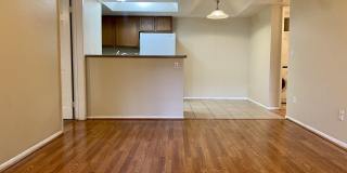 1720 E THUNDERBIRD Road unit: 1100 Gallery 1