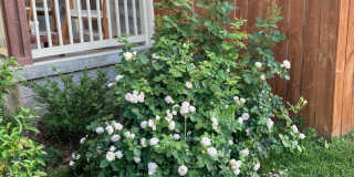 3 Bed/2.5 Bath-Modern Home-Minutes from Downtown Gallery 17