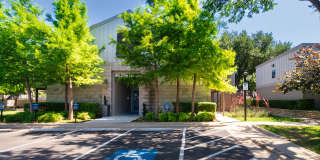 Biltmore Gallery 50