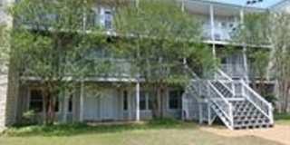 Super Cute, Tastefully Furnished, Hyde Park Condo Gallery 1