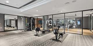 Aster & Links Gallery 88