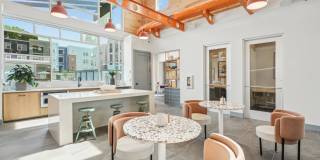 Bluebird on Seventy Gallery 1