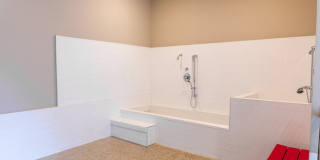 Vue at the Quarter Vue at the Quarter Gallery 24
