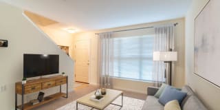 Windsor Terrace Gallery 4