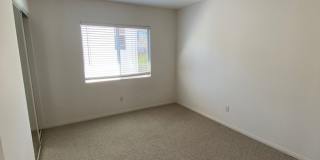 Carlsbad 4 Bed! Gallery 13
