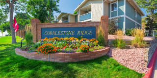 Cobblestone Ridge Gallery 19