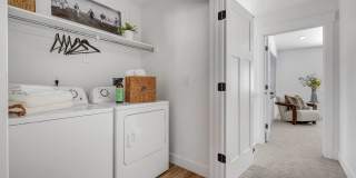 Mt. Rainier Gallery 28