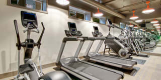 Echo Lake Gallery 32