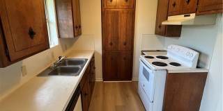 4817 Lavaca Drive Gallery 3
