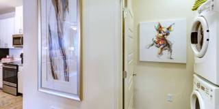 Avery at Turkey Creek Gallery 18