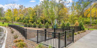 The Aurilla Gallery 58