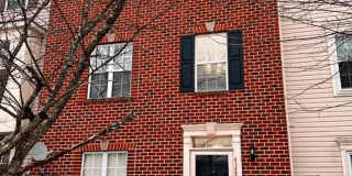 4128 BROWN BARK Circle Gallery 1