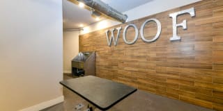 Arlo Decatur Apartments Gallery 51