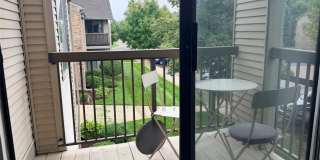 42779 Lilley Pointe Drive - 1 Gallery 1