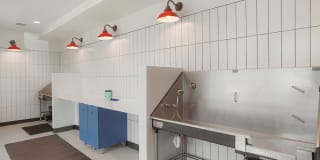 Quin + Nita Gallery 50