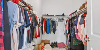 25419 HARTLAND ORCHARD Terrace Gallery 21