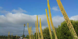 162 Overbrook Gallery 19