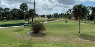 1739 Golf Club Drive Gallery 6