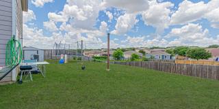 2831 Lavender Gallery 29