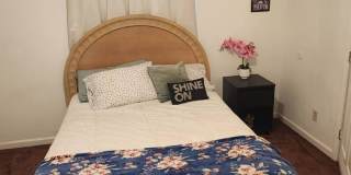 6328 N Lagoon Dr Gallery 10