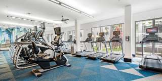 Pearl Dadeland Gallery 22