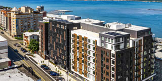 The Lex The Lex Gallery 1