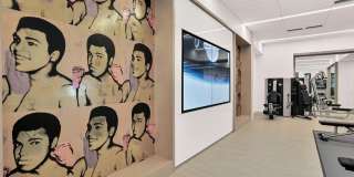 Denizen Gallery 13
