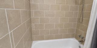 Stunning 3BD/2BTH Home in Holiday! Gallery 13