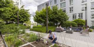 Continuum Gallery 15