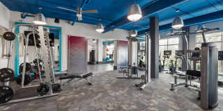 Cadence Music Factory Gallery 21