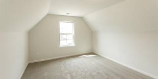 125 DOGWOOD SPRING Dr Gallery 14