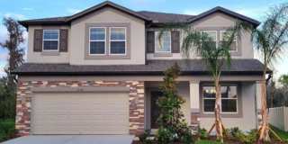 Amazing 5 bedrooms/4 full baths brand New SMART home in beautiful new Tampa community! Gallery 1