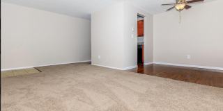 Vine East Gallery 8