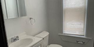 41 Clarendon St Gallery 17