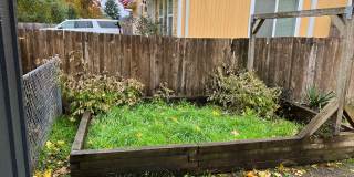 Beautiful 3 bedroom 2 bath house in Eugene! Gallery 45