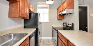 Terrace Court Gallery 2