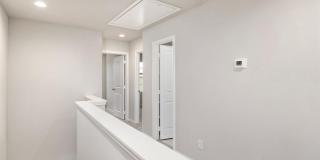 Eddie Way Gallery 11