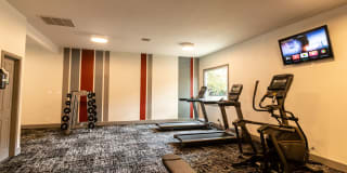 The Element The Element Gallery 6