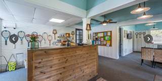 3829 SPRUCE PINE DRIVE Gallery 73
