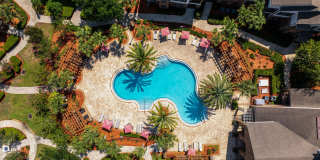 The Hawthorne Gallery 43