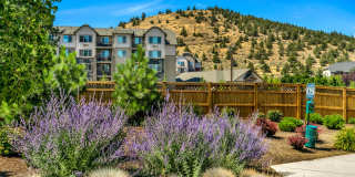 Outlook at Pilot Butte Gallery 15