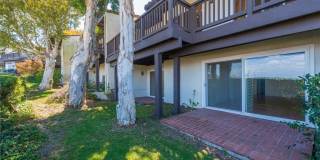 37 Cottonwood Gallery 17