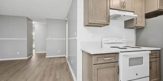 Newland Garden Gallery 23