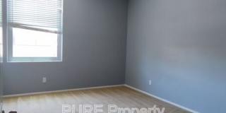 31018 Strawberry Tree Ln Gallery 29