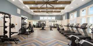 The Arden Gallery 18