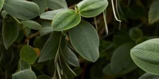 5918 Monte Vista St Gallery 11