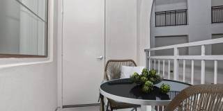 Vineyards Gallery 160