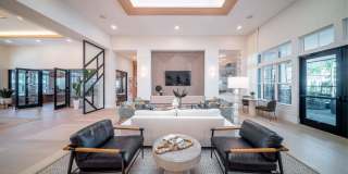 Alta Citron Gallery 5