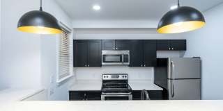 Temple Apartments Gallery 22